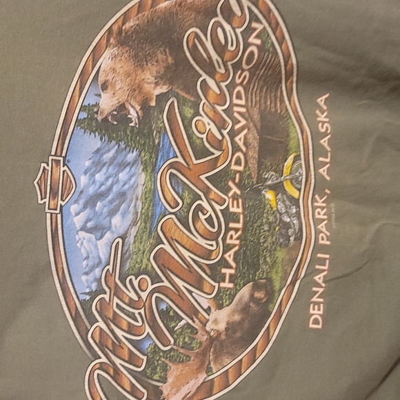 Harley-Davidson Other - HARLEY DAVISON Denali Park Alaska tee shirt xl men's